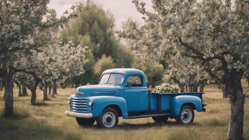 Camión agrícola azul vintage estacionado contra un telón de fondo de manzanos retorcidos.