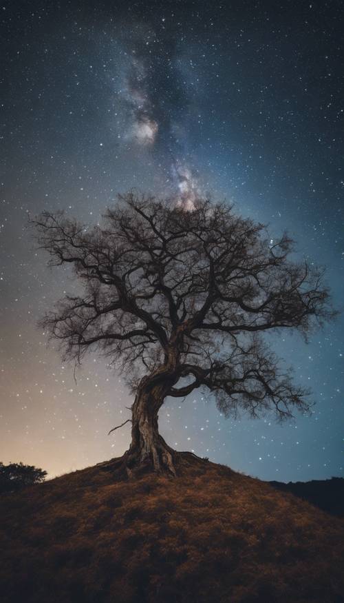 Un vecchio albero solitario in cima a una collina sotto un cielo notturno stellato, dove i rami dell&#39;albero si intrecciano con le stelle. Sfondo [9cd5c3e87b304948a92e]