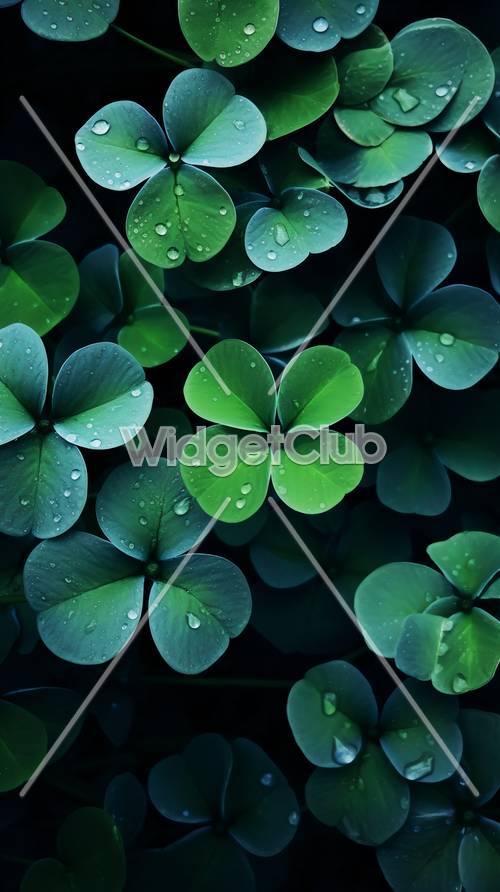 Green Leaves with Dew Drops