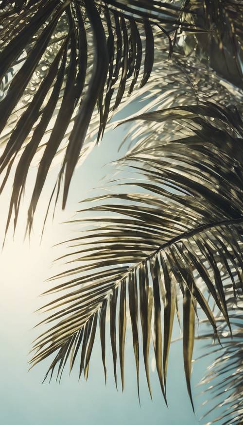 머리 위에 매달려 있는 열대 야자나무 잎사귀 사이로 햇빛이 비치고 있습니다.