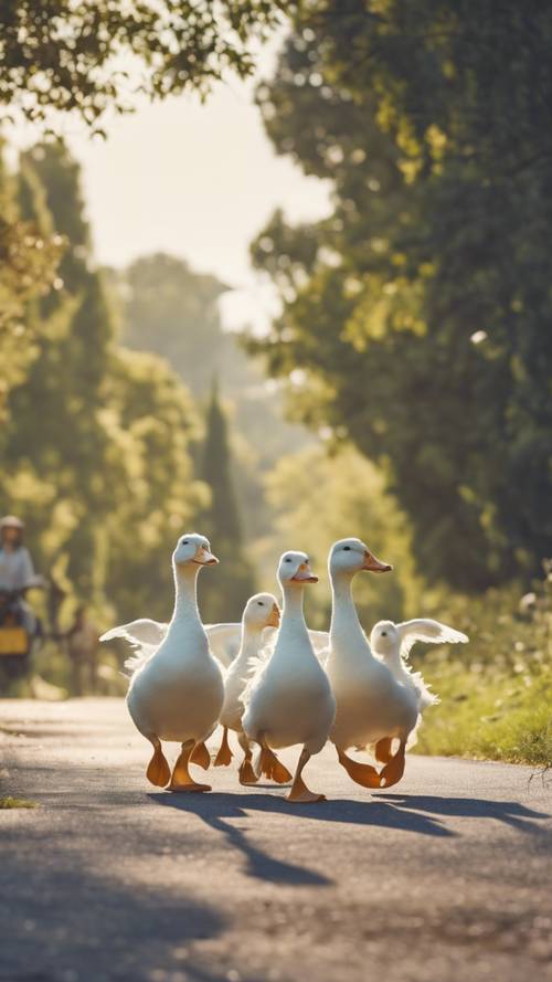 Bandada de patos blancos cruzando un camino rural, liderados por un perro de granja.