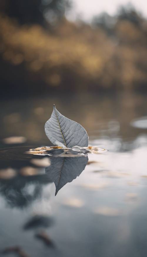 Uma folha cinzenta flutuando na superfície de um lago calmo.