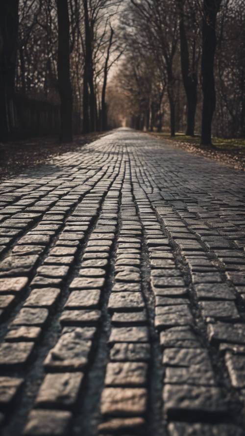 A textured black brick road leading into the distance.