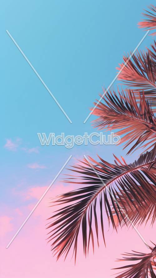 Tropical Palm Leaves Under Pink and Blue Sky