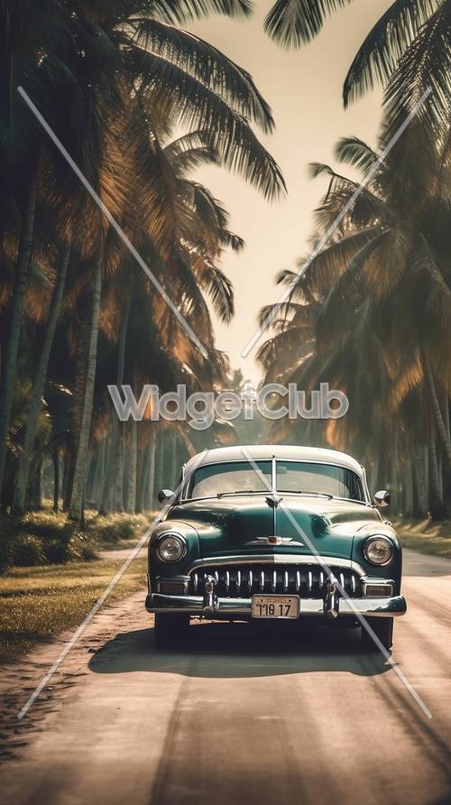 Classic Car on a Tropical Road