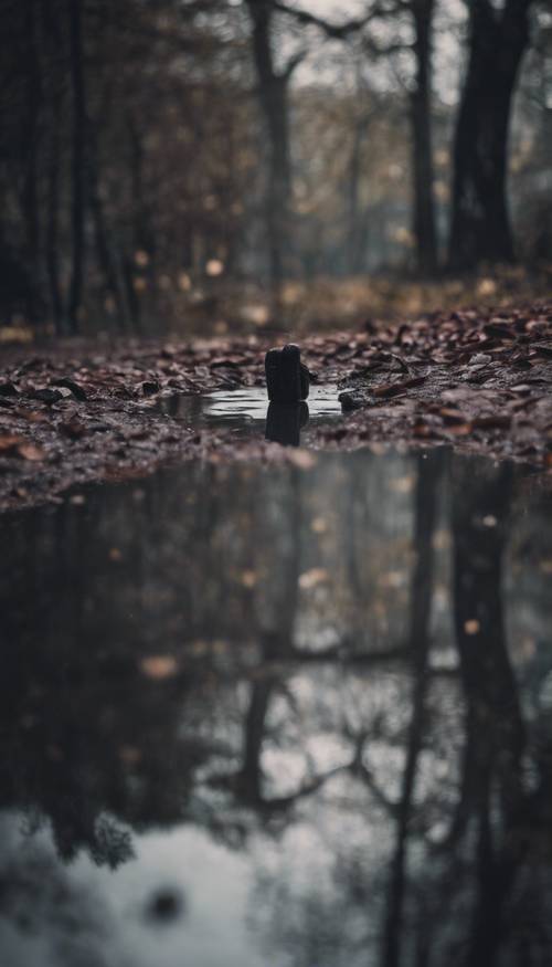 A dark water puddle reflecting a gloomy, overcast sky.