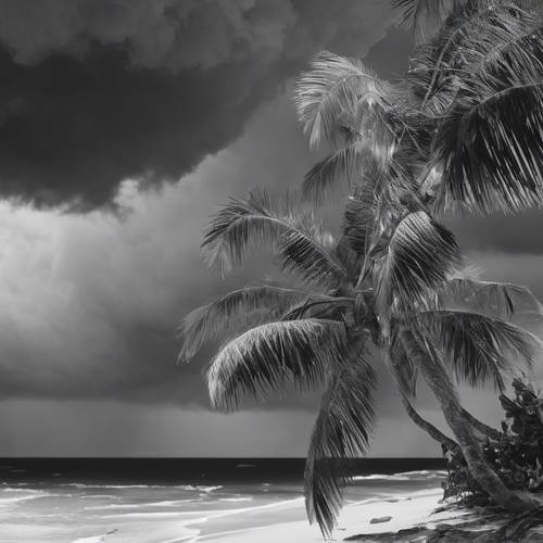 Searing black and white image of a tropical storm over the sea.