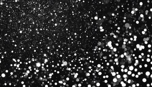 繁星点点的夜空完全由黑色和白色的闪光构成。