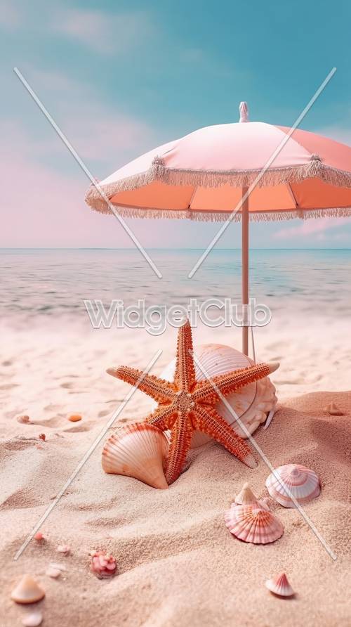 Strandurlaub mit Seesternen und Muscheln