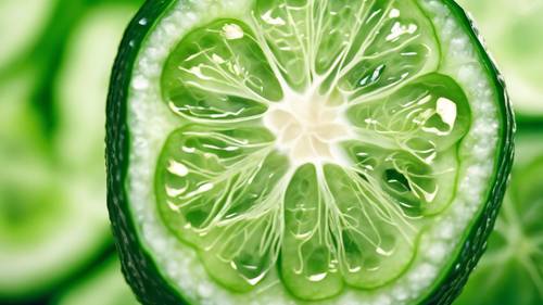 A closeup of a cucumber slice with cool green hues.