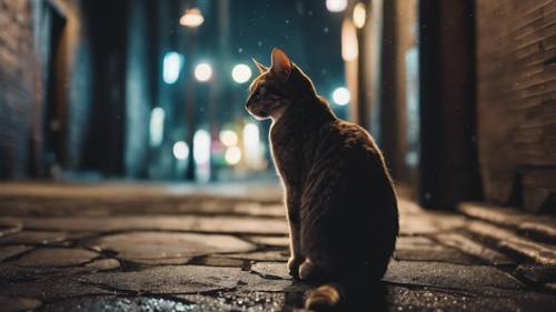 A lone cat wandering the empty alleyways of a dark, moody city after midnight.