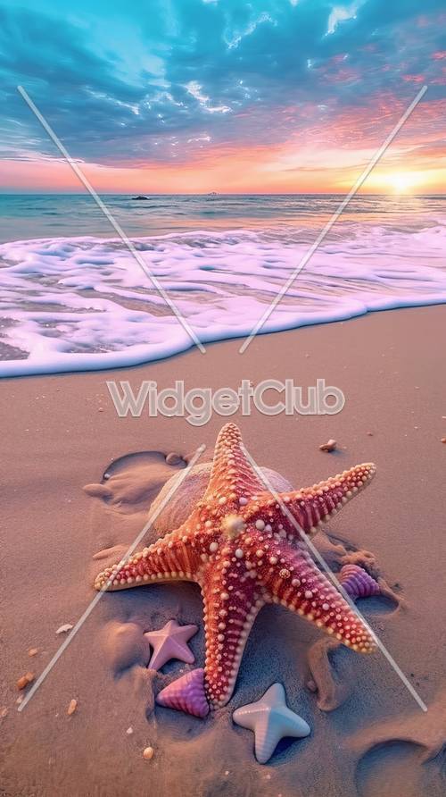 Закатный пляж с морскими звездами и нежными волнами