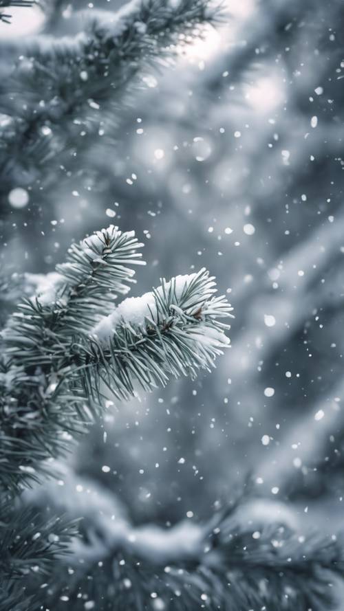 A snow covered pine forest showing the texture and details of snowflakes. Tapet [3d5abdb00c9a43a0a313]