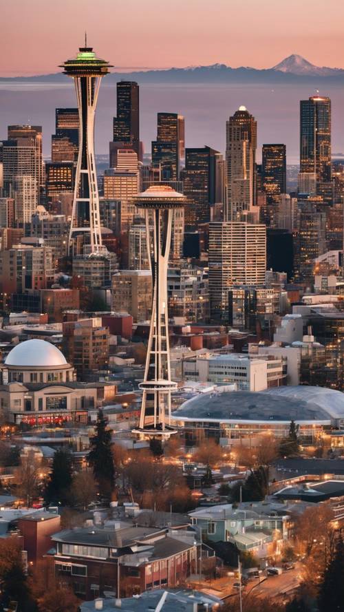 西雅圖天際線的壯麗全景，以獨特的太空針塔為特色。