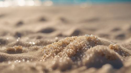 Eine Nahaufnahme von Sandkörnern an einem Strand, deren Anordnung ein Zitat über die mikroskopische Schönheit des Wissens bildet.