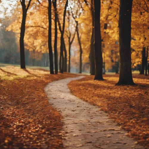 Sebuah taman di musim gugur, dengan jalan setapak melewati hutan dengan warna musim gugur penuh.