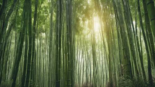 Una tranquilla foresta di bambù con una citazione incoraggiante scritta su uno degli imponenti bambù.