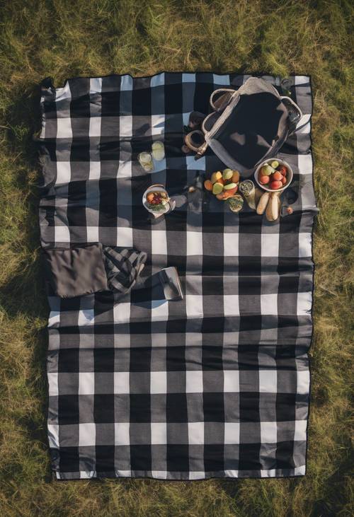 Güneşli bir çayırdaki koyu renk ekoseli piknik battaniyesinin kuşbakışı görünümü.