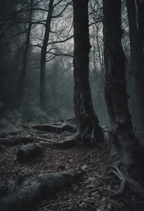 A forbidding black forest in the dead of night, with twisted, gnarled trees and lurking shadows.