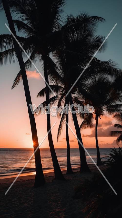夕日とパームツリーがビーチの背景にある壁紙