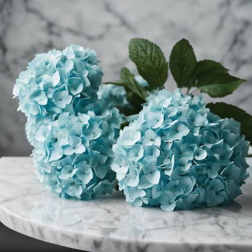 A bouquet of turquoise hydrangeas resting atop a classic marble table.