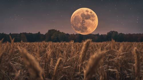 A painterly representation of the October month showing a harvest moon. Валлпапер [f9936e6299e4441b8bfc]