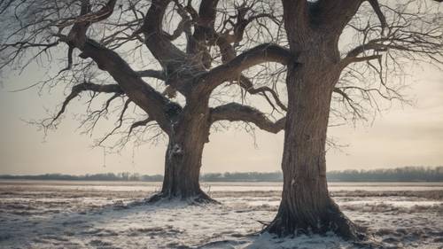 Ein kahler Baum mitten im Winter, dessen Wurzeln freiliegen, trägt die Aufschrift „Depression ist wie ein Gang durch ein Feld mit schweren Stiefeln, jeder Schritt ist anstrengend.“