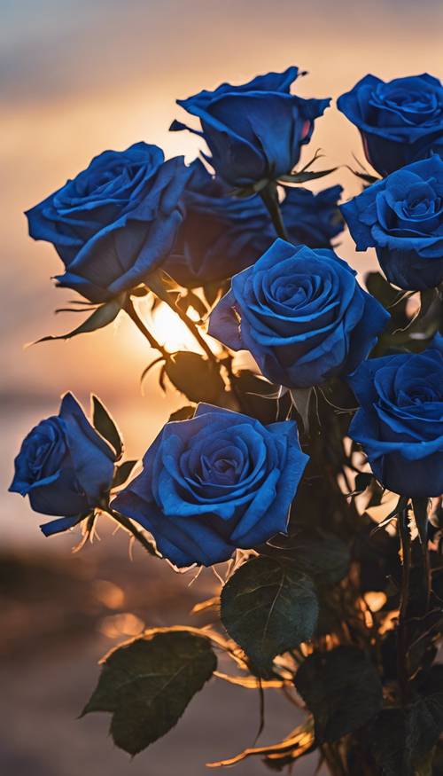 Um denso buquê de rosas azuis contra um pôr do sol como pano de fundo.