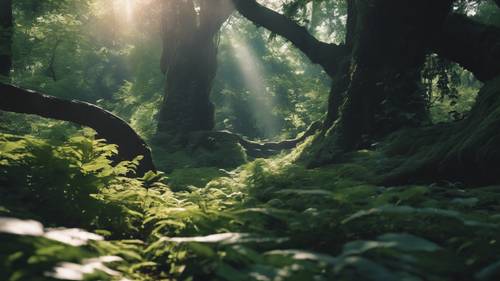 A tranquil forest with hidden shapes of anime characters in its shadowy depths, their signature quotes lingering in the sunlight filtering through the leaves. Tapeta [2ace61d665c24607aa25]