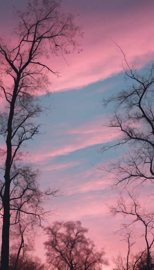Uma vista deslumbrante de um céu de algodão doce rosa pastel e azul logo após o pôr do sol com silhuetas de árvores em primeiro plano.