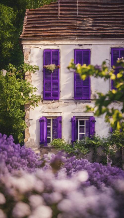 Rumah pedesaan yang indah dan kecil dengan daun jendela kotak-kotak ungu.