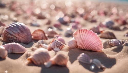 Pink metallic seashells scattered on a sandy beach.