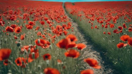 美麗的紅色罌粟花田無限延伸，與法國鄉村青色的天空形成鮮明對比。