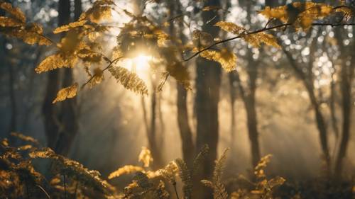 새벽의 첫 햇살이 마법에 걸린 숲의 이슬 맺힌 나뭇잎에 닿아 마법 같은 황금빛 빛을 발산합니다.