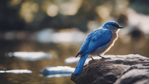 A serene blue bird preening its shiny feathers beside a calm river