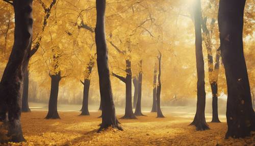 Un espectáculo amarillo y sombrío de árboles otoñales, con hojas en tonos que van desde el amarillo azafrán hasta el limón suave.