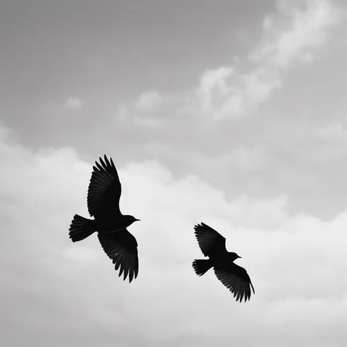 Une paire d’oiseaux gris foncé en vol sur un ciel blanc.