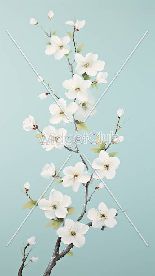 淡い青色の背景に美しい白い桜が咲く壁紙