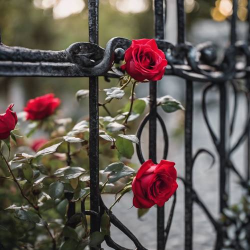 Rote Rosen ranken sich um ein gusseisernes Tor.