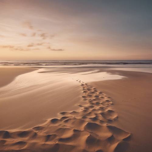 Bidikan lebar pantai berpasir saat senja dengan rona cokelat berpadu indah satu sama lain, membentuk efek ombre.