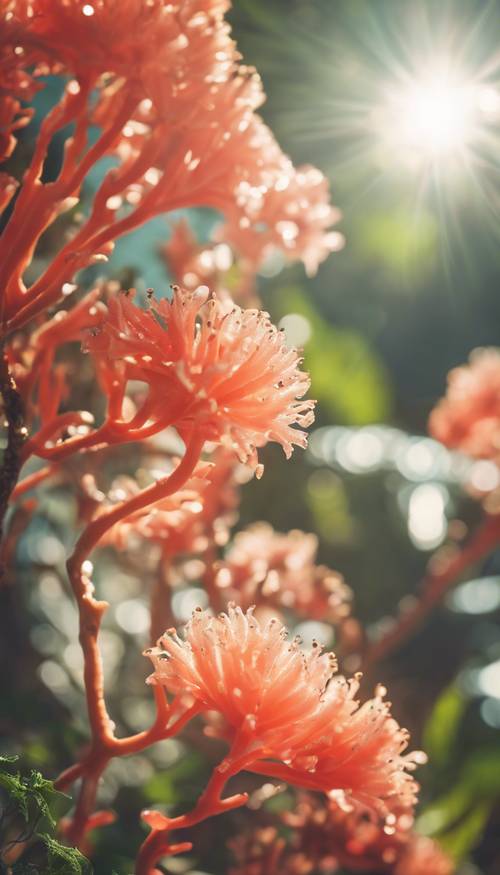 Яркий коралловый цветок, цветущий под тропическим солнечным светом.