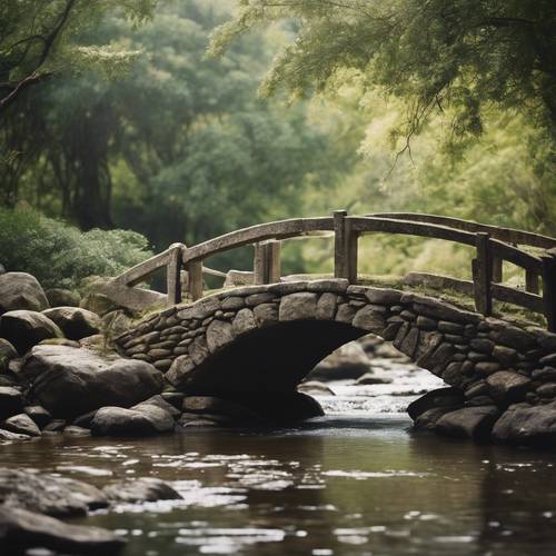 Un solitario puente de piedra de inspiración zen que se arquea con gracia sobre un suave arroyo.