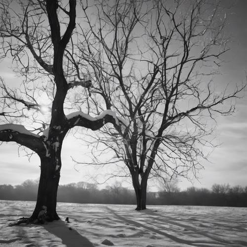 Bidikan hitam putih artistik dari pohon tak berdaun di tengah musim dingin, mencerminkan kerasnya musim tersebut.