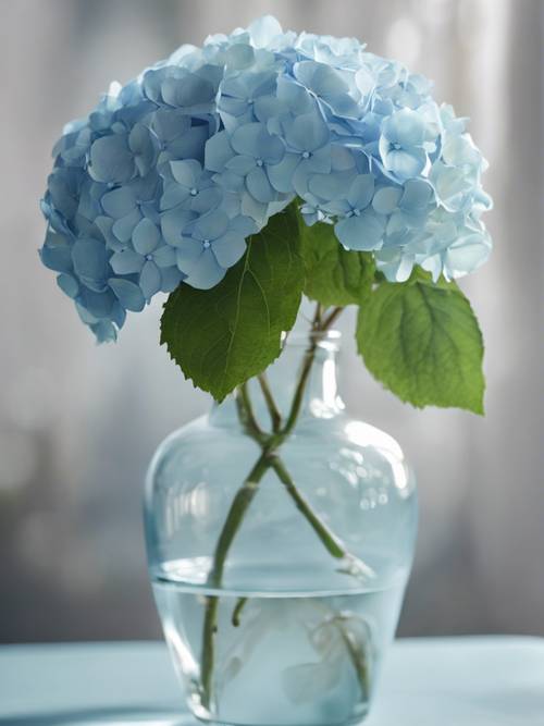 Uma cena romântica com uma hortênsia azul pastel disposta em um vaso de vidro transparente.