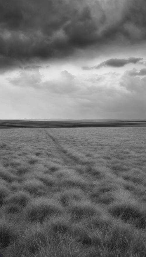 A grayscale image of a vast empty plain under an overcast sky.