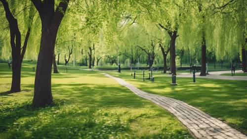 Taman kota modern di musim semi, dengan dedaunan hijau muda segar di pepohonan.