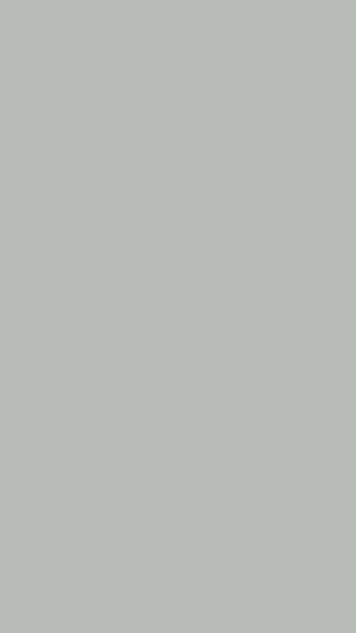 Gray Wallpaper [4cf1f6dcadda48eaae4f]