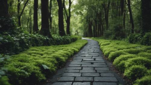 Um caminho pavimentado com tijolos pretos que leva a uma floresta verdejante.