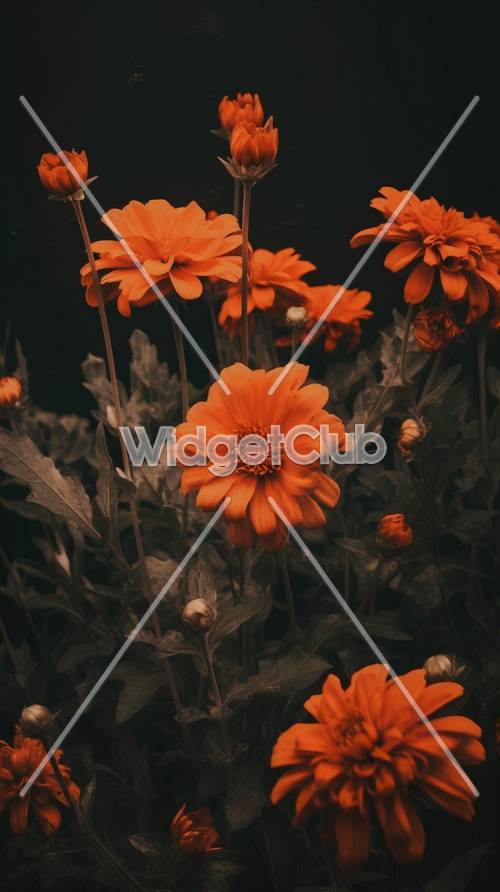 Flores naranjas en un jardín oscuro