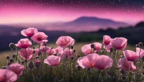 مجموعة من الخشخاش الوردي على أحد التلال، تحت سماء الليل المضاءة بالنجوم.